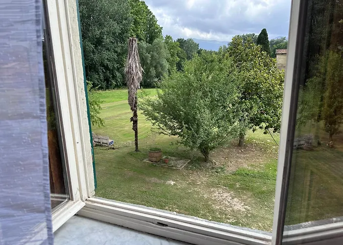 Paradiso ゲストハウス