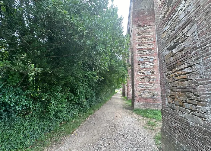 Paradiso Guest house 3*